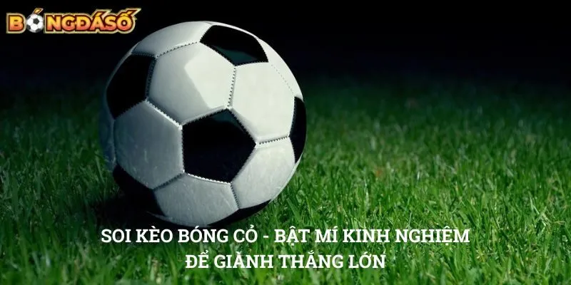 Soi kèo bóng cỏ