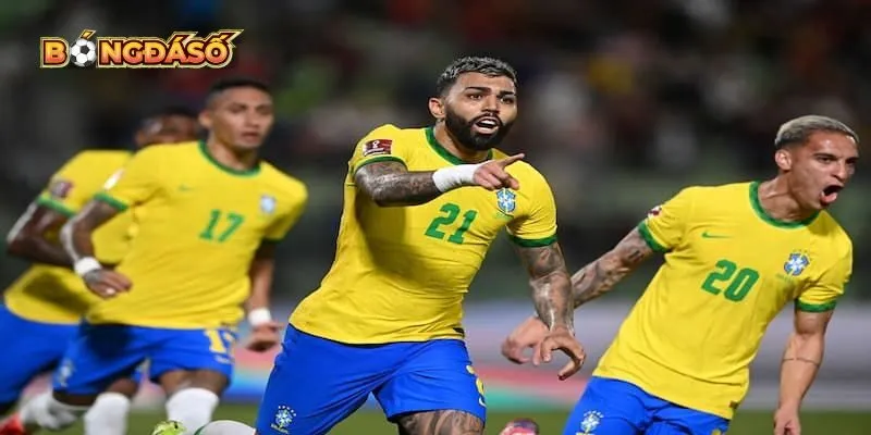 soi kèo bóng đá Brazil