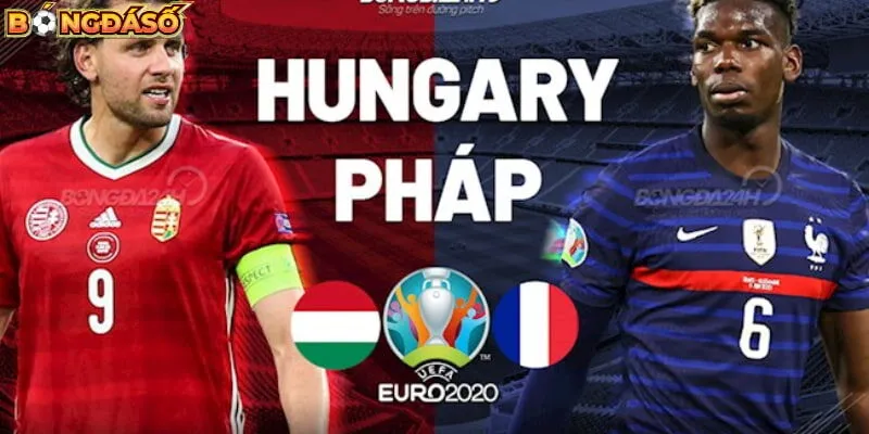 Soi kèo bóng đá Pháp